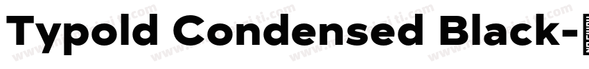 Typold Condensed Black字体转换